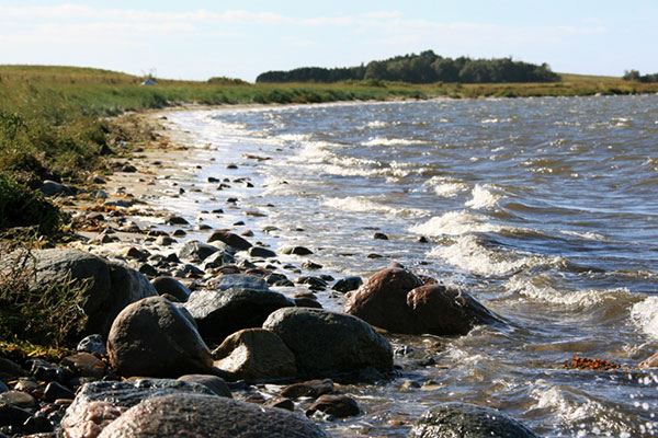 Sten på stranden