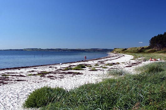 Udsigt langs stranden