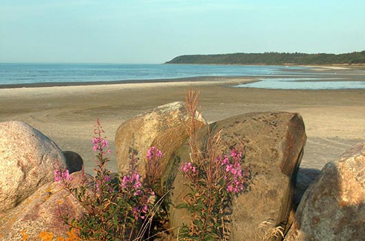 Udsigt langs stranden